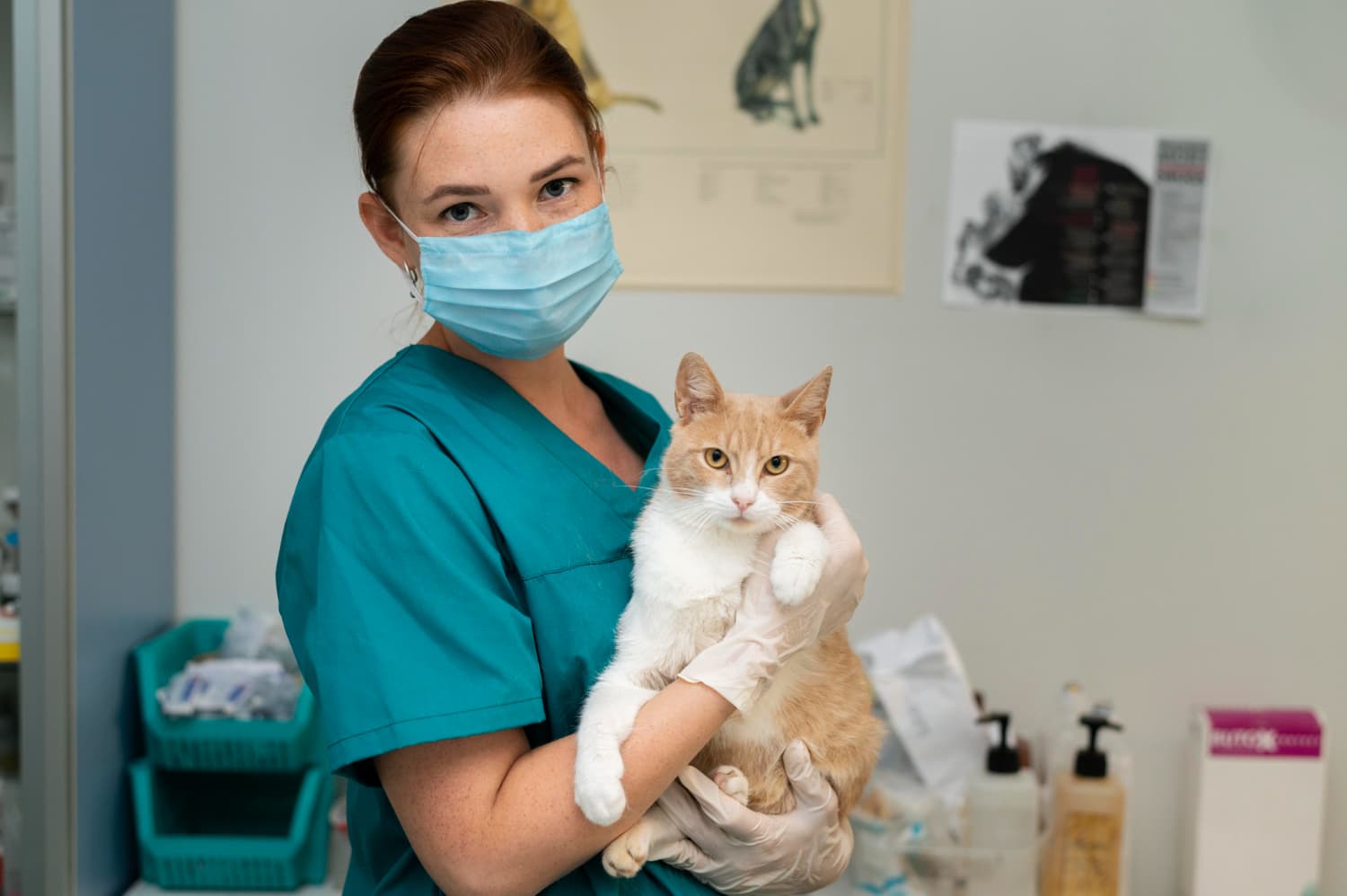 Mejor veterinario en Marbella